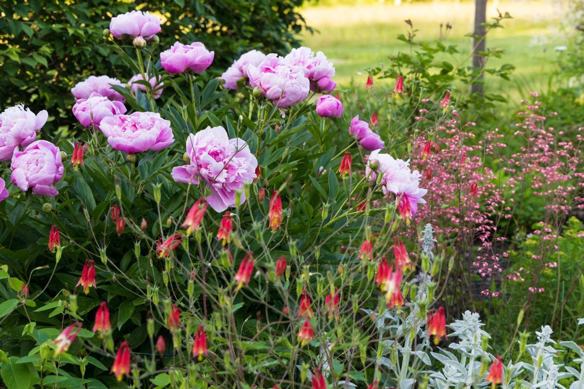 Maguire House Bed And Breakfast Ashburnham Bagian luar foto