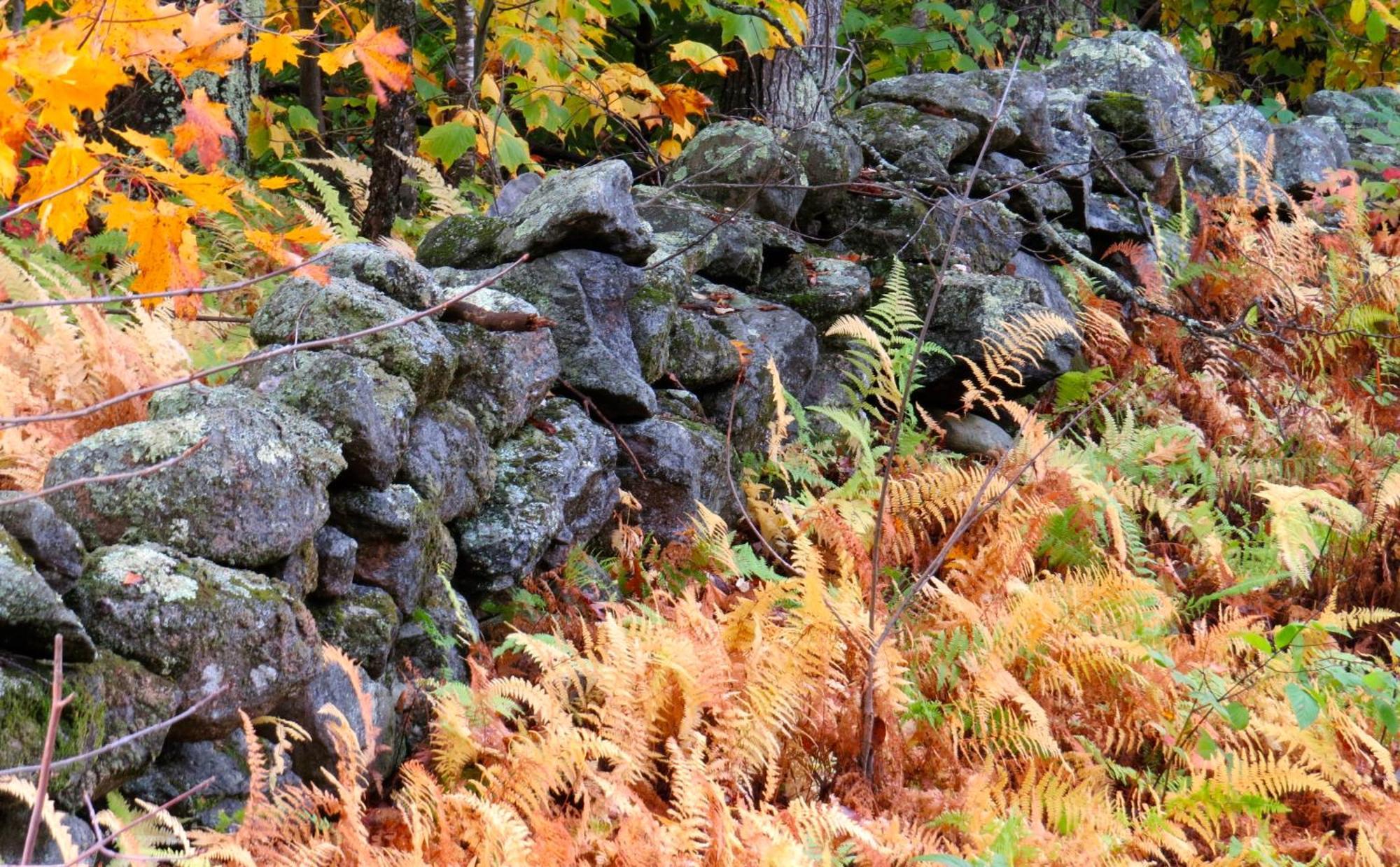 Maguire House Bed And Breakfast Ashburnham Bagian luar foto