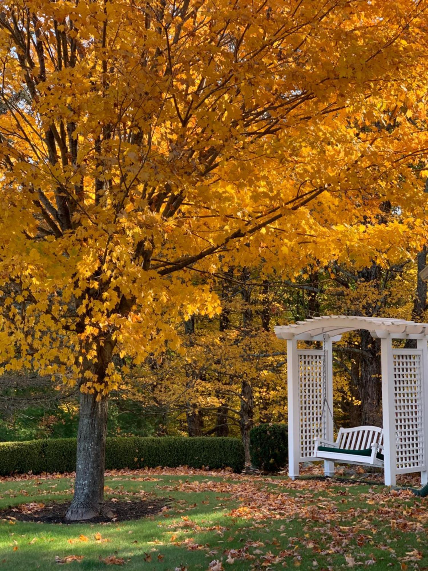 Maguire House Bed And Breakfast Ashburnham Bagian luar foto
