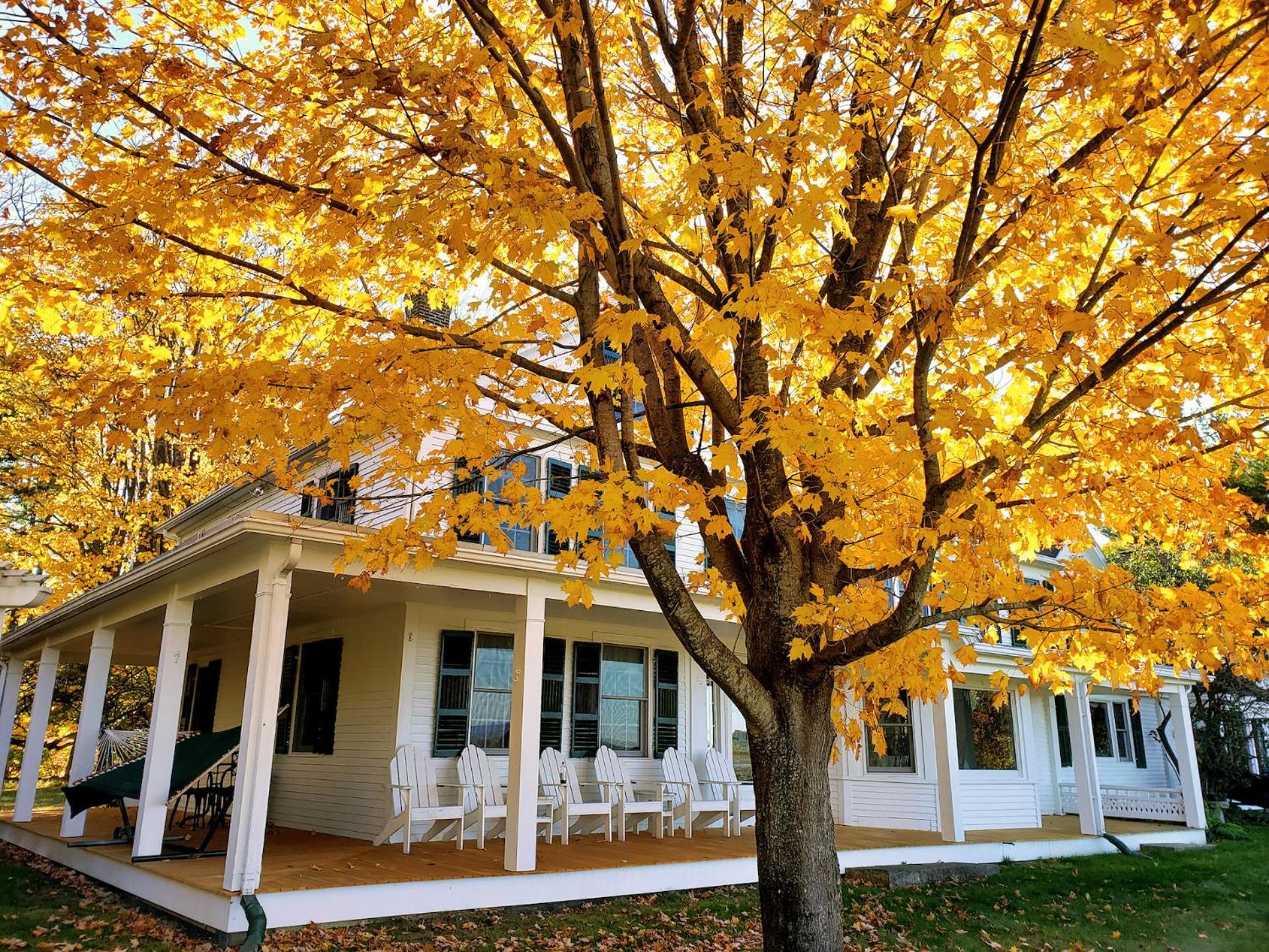 Maguire House Bed And Breakfast Ashburnham Bagian luar foto