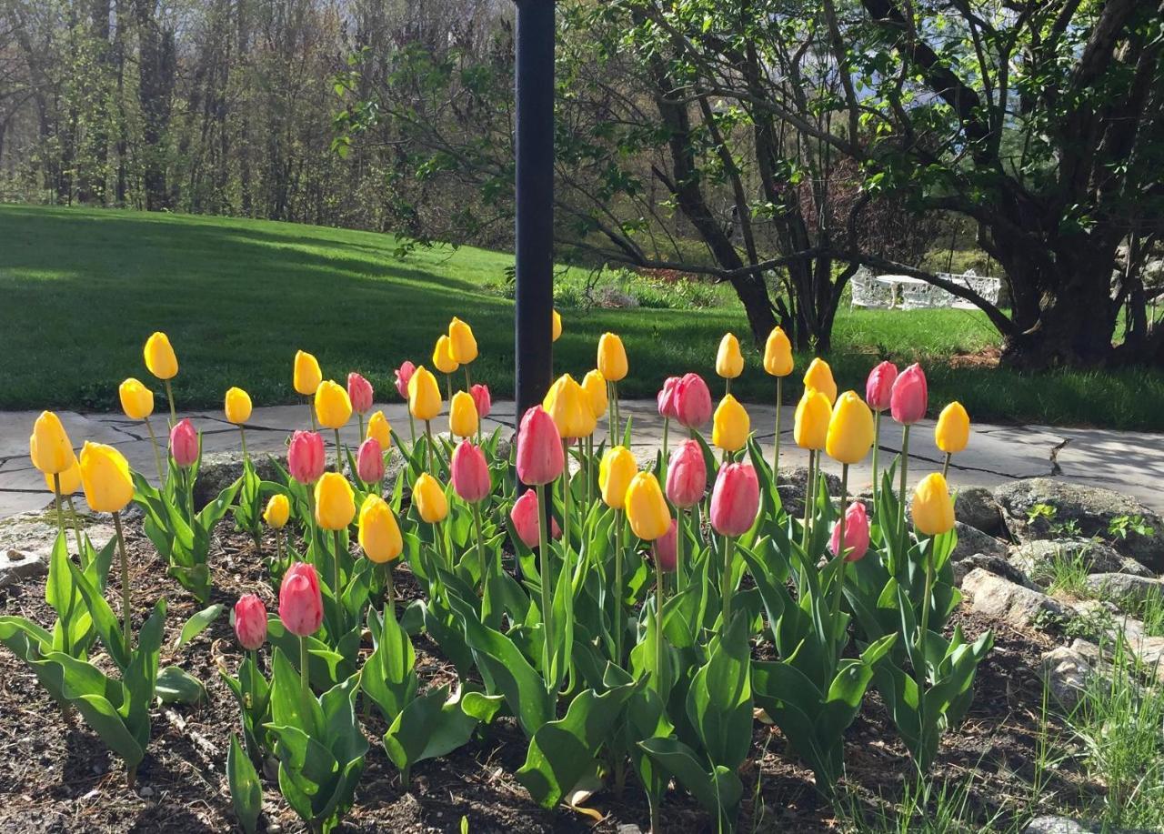Maguire House Bed And Breakfast Ashburnham Bagian luar foto